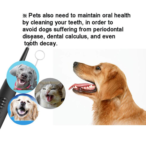 Electric Dental Calculus Remover, Household Tartar Scraper Tartar Remove for Fighting Tartar Tooth Stains Teeth Polishing, 4 Replaceable Heads, Po...