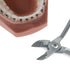 Orthodontic Instruments Tool Set - Hard Wire Cutter, Orthodontic Ortho Dental...