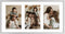Golden State Art, 4x6 Aluminum Collage Frame, Displays 6x4 Pictures With 3 Openings Mat or One 7x14 Photo, Real Glass, Portrait/Landscape Wall Dis...