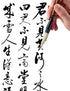 Chinese Calligraphy Brush, Writing Drawing Watercolor Ink Brushes Hubi Painting?Kanji Sumi?Wolf Bamboo Brushes Set for Professional Beginner (Whit...