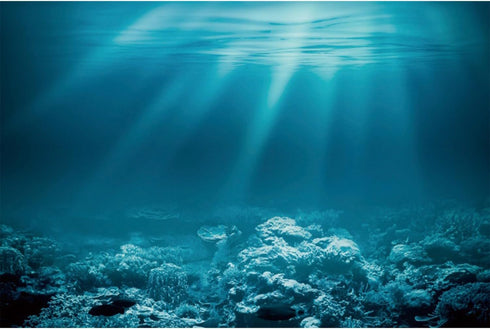 AWERT 36x18 inches Undersea Theme Aquarium Background Sunshine Underwater World Fish Tank Background Vinyl...