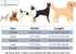 ARING PET Bowtie Dog Collar, Dog Collar with Bow, Adjustable Dog Collars for Small Medium Large Dogs....