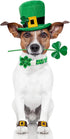 2023 NEW St.Patrick's Day Dog Collar with Flower Tie-Babole Pet, Cute Clover male Dog Collar with Safety Metal Buckle Adjustable Puppy Collars for...