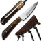 METAL OF HONOR Paring Knife 3inch Small kitchen Knife with Sheath Fruit and Vegitable Knife for Peeling (Stag)...