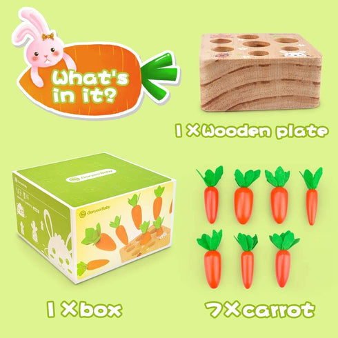 Wooden Educational Toys for 1 2 3 Year Old Boys Girls, Carrots Harvest Montessori Shape Size Matching Game for Fine Motor Skill Preschool Learning...