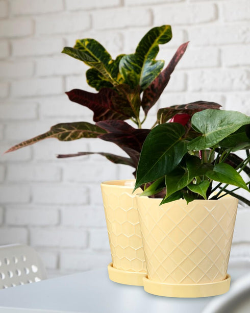 EFISPSS Ceramic Plant Pots, 6Inch Pots for Indoor Plants Set of 2, Planters with Drainage Holes and Ceramic Tray, Flower Pots Desktop Office Windo...