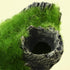 Resin Moss Tree House Fish Shrimp Hiding House Aquarium Fish Tank Decoration Accessories Artificial Resin Log Tree Branch with Moss Fish Tank Deco...