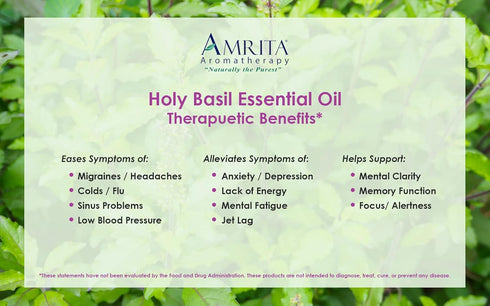 Organic Holy Basil (Tulsi) Essential Oil; 100% Pure and Undiluted Ocimum Sanctum; Premium Quality Aromatherapy Oil; Tested and Verified, Size: 10 ...