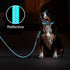 azuza Durable Padded Dog, Reflective Strip Extra Safe and Comfy for Small Dogs,Blue...