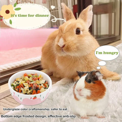 2 Pcs Hamster Ceramic Bowl, Small Animals Anti-Turning Food Water Bowl for Rabbit Hamster Guinea Pig Hedgehog Squirrel (Pink and Red)...