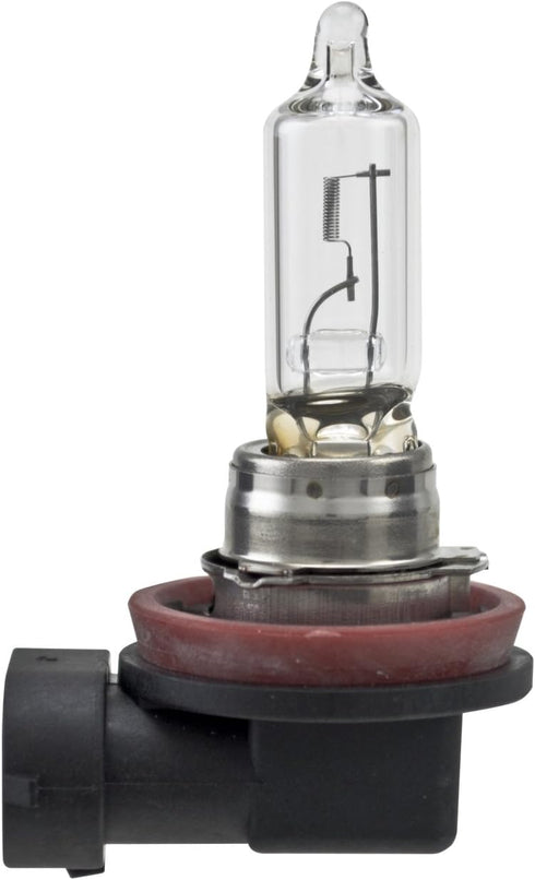 HELLA H9TB Standard Halogen Bulbs, 12 V, 65W...