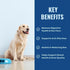 Gut Health for Dogs | 3 in 1 Prebiotic Probiotic Postbiotic | Supports Digestive Health, Anti Diarrhea | Puppy to Senior Dog | Powder 60 g...