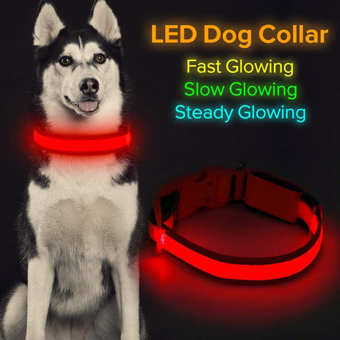 LED Dog Collar, USB Rechargeable Light Up Dog Collar Lights, Adjustable Comfortable Soft Mesh Safety Dog Collar for Small, Medium, Large Dogs(Larg...