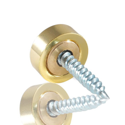 TOP-VIGOR 8pcs 16mm Mirror Screws, Stainless Steel Brushed Screws Cap Cover Nails Fasteners for Decorative Mirror...