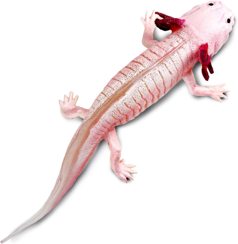 Safari Ltd. Axolotl Figurine - Realistic 7" Model Figure - Educational Toy for Boys, Girls, and Kids Ages 3+...