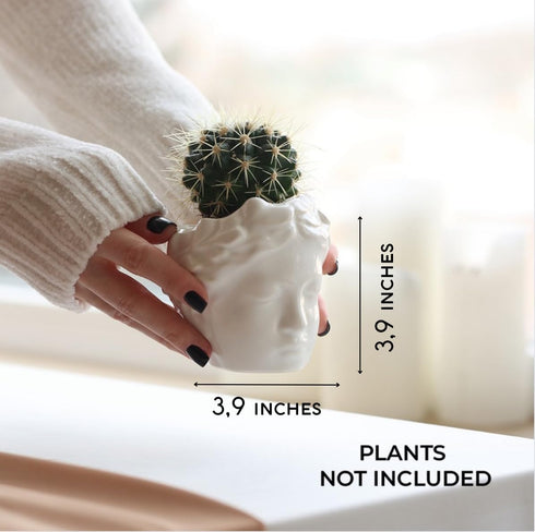 Head Planter Ceramic Face Planter Pots for Plants Succulent Planters Unique Planters for Indoor Plants Great for Succulents Fun Planters Cute Plan...