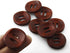 All In One 30pcs Brown 2 Slender Shape Hole Sewing Wood Buttons 30mm (1-1/6”)...