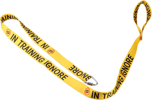 Funny Dog Leash Have in Training Ignore Dog Leash Walking Training Dog Leashes Owner Pet Lover Gift (in Training Ignore-YE)...