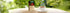 Greenfield Grand Fruit Black Tea Fruit & Herbal Collection 25 Teabags The Execptional Freshness Of Tea Is Guranteed By The Special Foil Sachet...