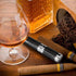 Carbon Fiber Cigar Case Tube, Super Slim and Light Cigar Carrying Holders Travel Case (Humidors Black, One Figure)...