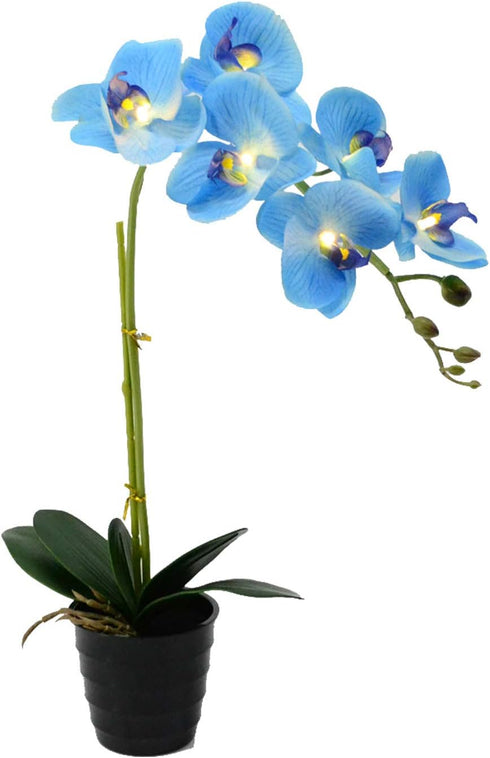 20" (50cm) LED Blossom Orchid Flower Pot Lighted Bonsai 7PCs Warm LED with 2*AA Battery Pot,7 PCs Real Touch Flowers with Buds...