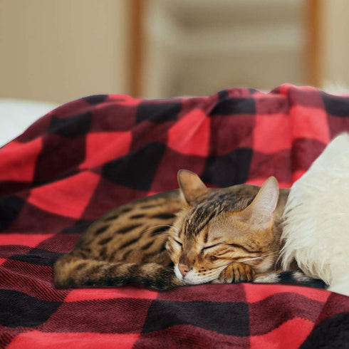 PiccoCasa Pet Dog Blanket, Flannel Fleece Puppy Blanket Plaid Plush Warm Rug Blankets for Small-Medium Dogs Cats Sleeping Mat, 30 x 40 Inches, Sca...