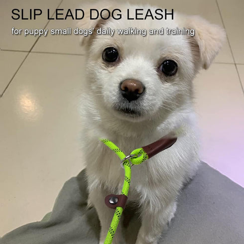 7Ft Slip Lead Dog Leash for Small Dogs, No Pull Small Puppy Pet Training Leash, Lightweight Nylon Rope Leash Green...