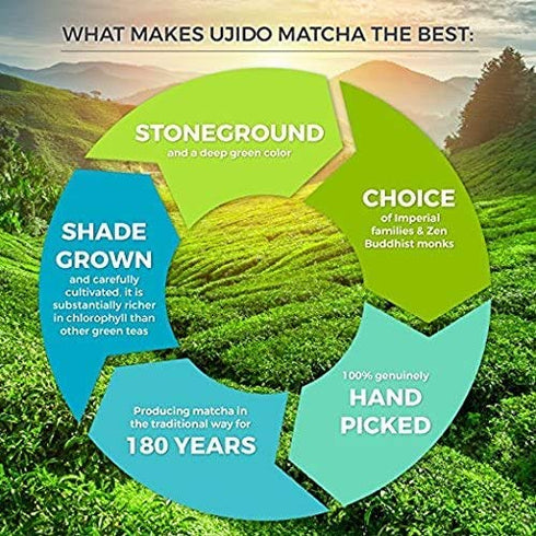 Ujido Summer Harvest Culinary Matcha, 2 oz., 46 Servings – Culinary Grade Japanese Matcha Powder – Gluten Free & Keto Friendly – Smooth, Mellow Fl...