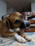 SPOT Bam-bones PLUS T Bone - Bamboo Fiber & Nylon, Durable Long Lasting Dog Chew for Aggressive Chewers – Toy for Dogs & Puppies under 90lbs, Non-...