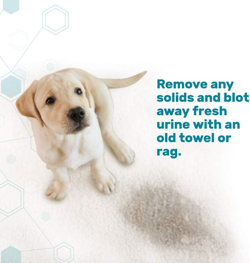 Dr. Mercola, Pet Stain and Odor Remover, 24 FL. oz (1.5 PT) (709 mL), Safe for Pets and Children...