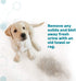 Dr. Mercola, Pet Stain and Odor Remover, 24 FL. oz (1.5 PT) (709 mL), Safe for Pets and Children...