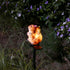 Squirrel Garden Decor Solar Lights Outdoor Stakes Decorative Statue Patio Yard Lawn Porch Housewarming Cute Animal Figurines Ornaments Pathway Res...