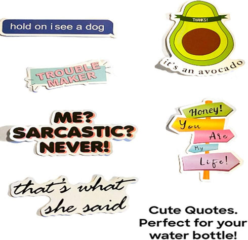 Stickers for Hydroflasks, VSCO Girls Stuff, Waterproof Cute Trendy Stickers for Water Bottle, Laptop, Phone Case, Skateboard, Travel, Durable Viny...