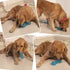 Squeaky Dog Toy Bone Shape, TPR Bouncy Ball, Teeth Cleaning, Length 16.0cm, for Medium to Medium-Large Sized Dogs,Random Color – Pack of 3...