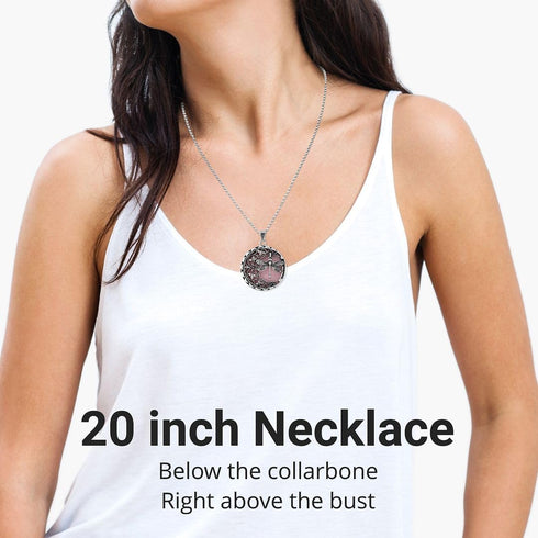 Shop LC Dragonfly Necklace - Dragonfly Jewelry Gifts for Women - Rose Quartz, Black, Aventurine, Carnelian & Blue Goldstone Healing Gemstone Penda...