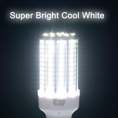 2-Pack 30W (200W Equivalent), E26 Standard Base LED Corn Light Bulb for Garage Factory Warehouse Street Lamp Post Lighting Barn Porch Backyard Gar...