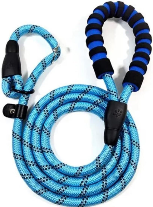 Dog Leash (Green)...