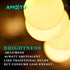 AMDTU E26 Globe Light Bulbs, Frosted G16.5 Edison Light Bulb Led 60 watt 600lm 2700k Soft White,Dimmable Vintage Warm Chandelier Light Bulbs for B...
