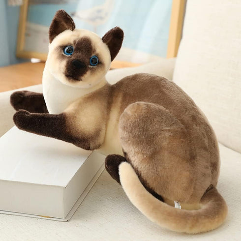 Siamese Cat Stuffed Animal, Shorthair Cat Realistic Plush Cat Stuffed Toys, Gift for Kids 12inches (A)...