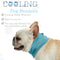 Pet Ice Band Dog Cooling Bandana for Dogs Cats Instant Cooling Collar Breathable Summer Scarf for Hot Days & Summer Large Grey...