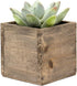 CYS EXCEL Cube Planter Box with Removable Plastic Liner (3"x3"x3")(6 PCS) | Multiple Size Choices Wood Square Planter | Indoor Decorative Window B...