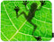 Beabes Frog Square Mousepads Desktop Notebook Mouse Mat Animal Tree Frog Shadow On Green Tree Leaf Mouse Pads for Working and Gaming Office Access...