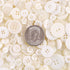 Swpeet 1000Pcs Christmas White Craft Buttons, 2 and 4 Holes White Round Craft Resin Sewing Buttons Suitable for Christmas Sewing Decorations, Art ...