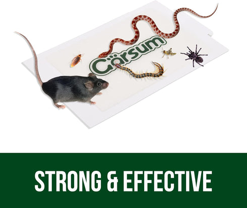 10 Pack Mouse Glue Trap, Peanut Butter Scent Sticky Traps, Heavy Duty Pest Board Insect Spider Mice, Extra Strength Trampas para Ratones Indoor fo...