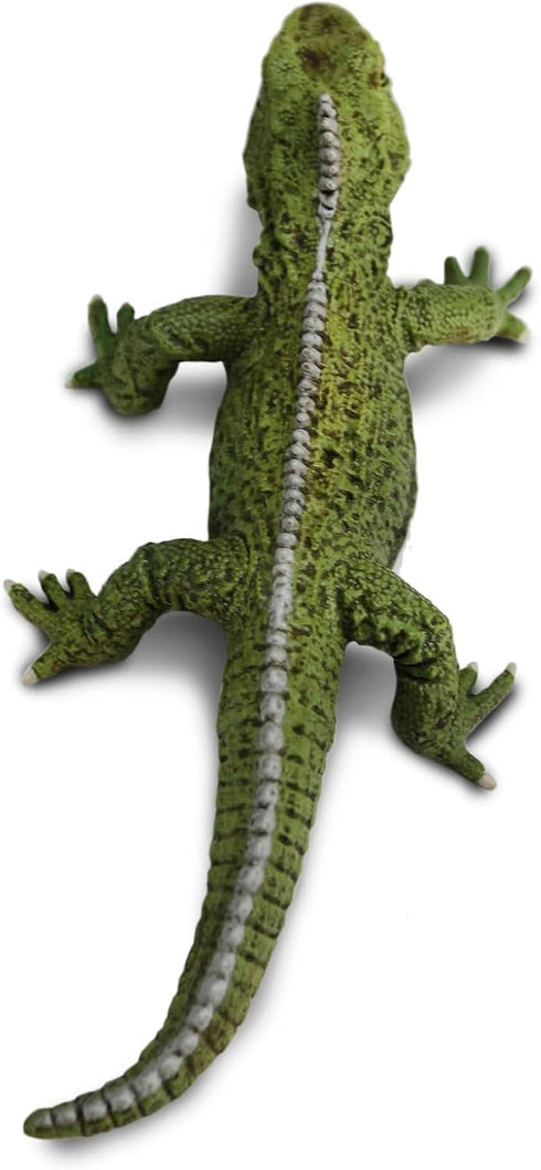 Safari Ltd. Tuatara Figurine - Detailed 7" Plastic Model Figure - Fun Educational Toy for Boys, Girls & Kids Ages 3+...