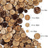150pcs 5sizes Mix Coconut Shell Natural Wooden Buttons with 2 Holes for DIY Clothing Sewing Craft Decorative...