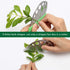 Herb Scissors Herb Stripper Set, Luxiv Stainless Steel Herb Cutter Tools 5-Blades Scissors with Herb Stripping Tool, Safe Cover, Cleaning Comb Mul...