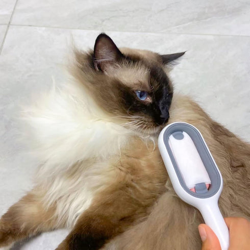 FuninCrea 4 in 1 Universal Pet Knots Remover, Pet Cleaning Hair Removal Comb Portable Multifunctional Pet Hair Knot Remover Reusable Pet Hair Brus...