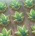 Ann Clark Cookie Cutters Marijuana Weed Leaf Cannabis Shaped Cookie Cutter 4/20 Gift, 3.5" made in USA...