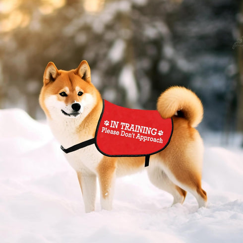 JXGZSO Nervous Do Not Approach Dog Jacket Vest Nervous Rescue Space Dog Vest Dog Walking Slogan Warning Vest (Training approach M)...